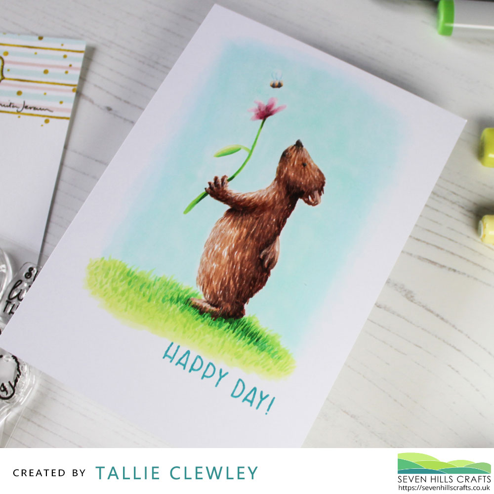 Happy Day Birthday Card (Seven Hills Crafts DT with Colorado Craft Company)