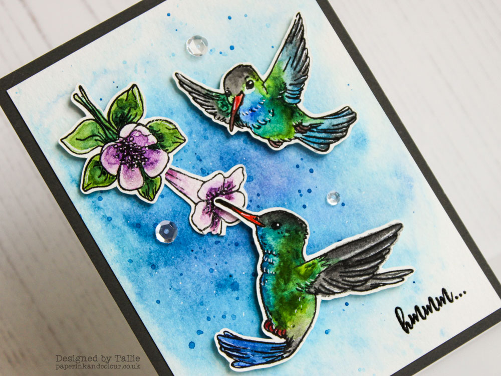 Hummingbird Card (Seven Hills Crafts DT with Hero arts)